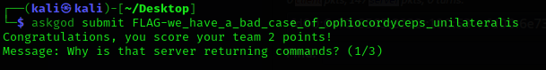 Another packet screenshot