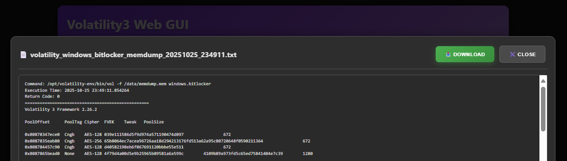 Bitlocker Decrypted FS